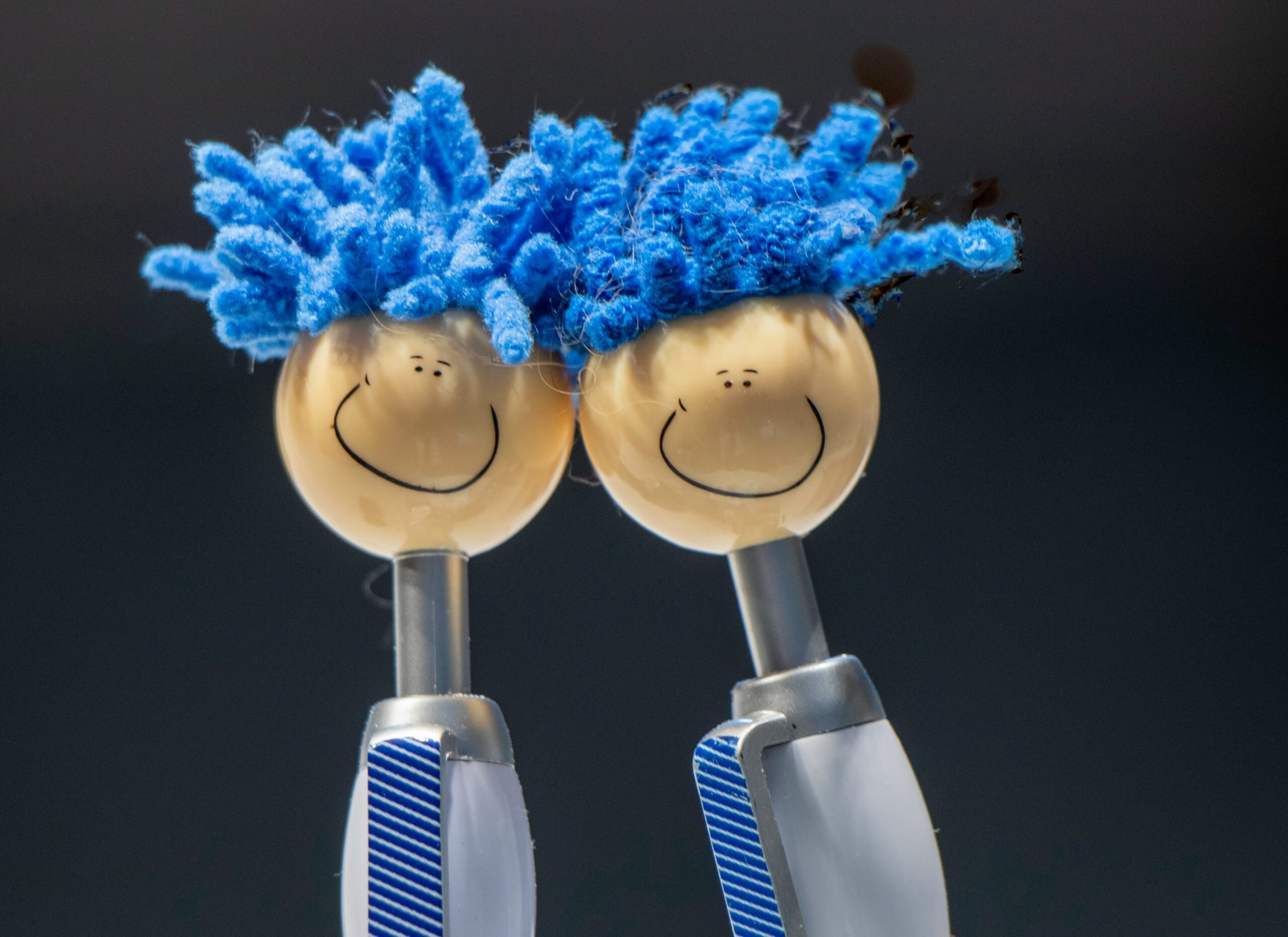 allergy-friendly pet grooming