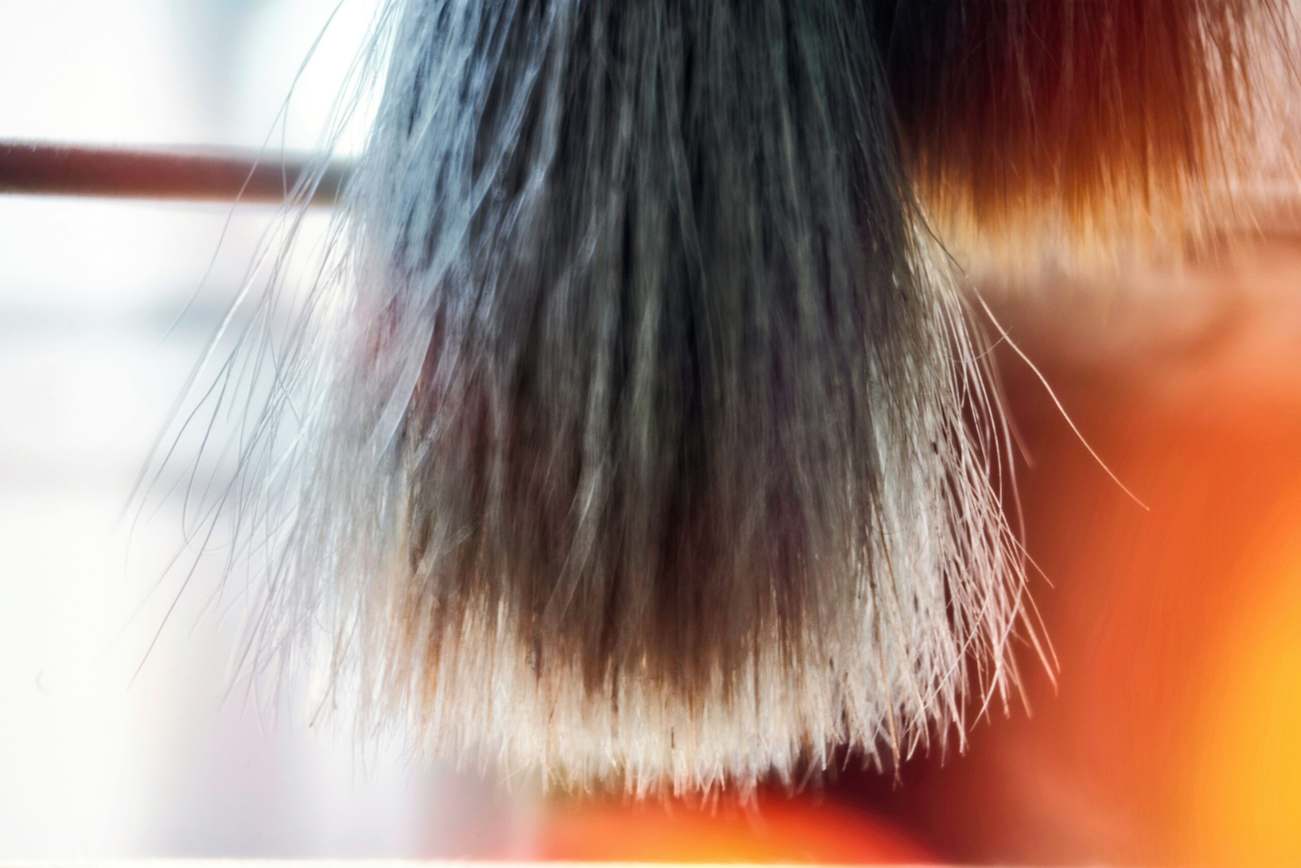 Bristle brush trapping pet hair effectively