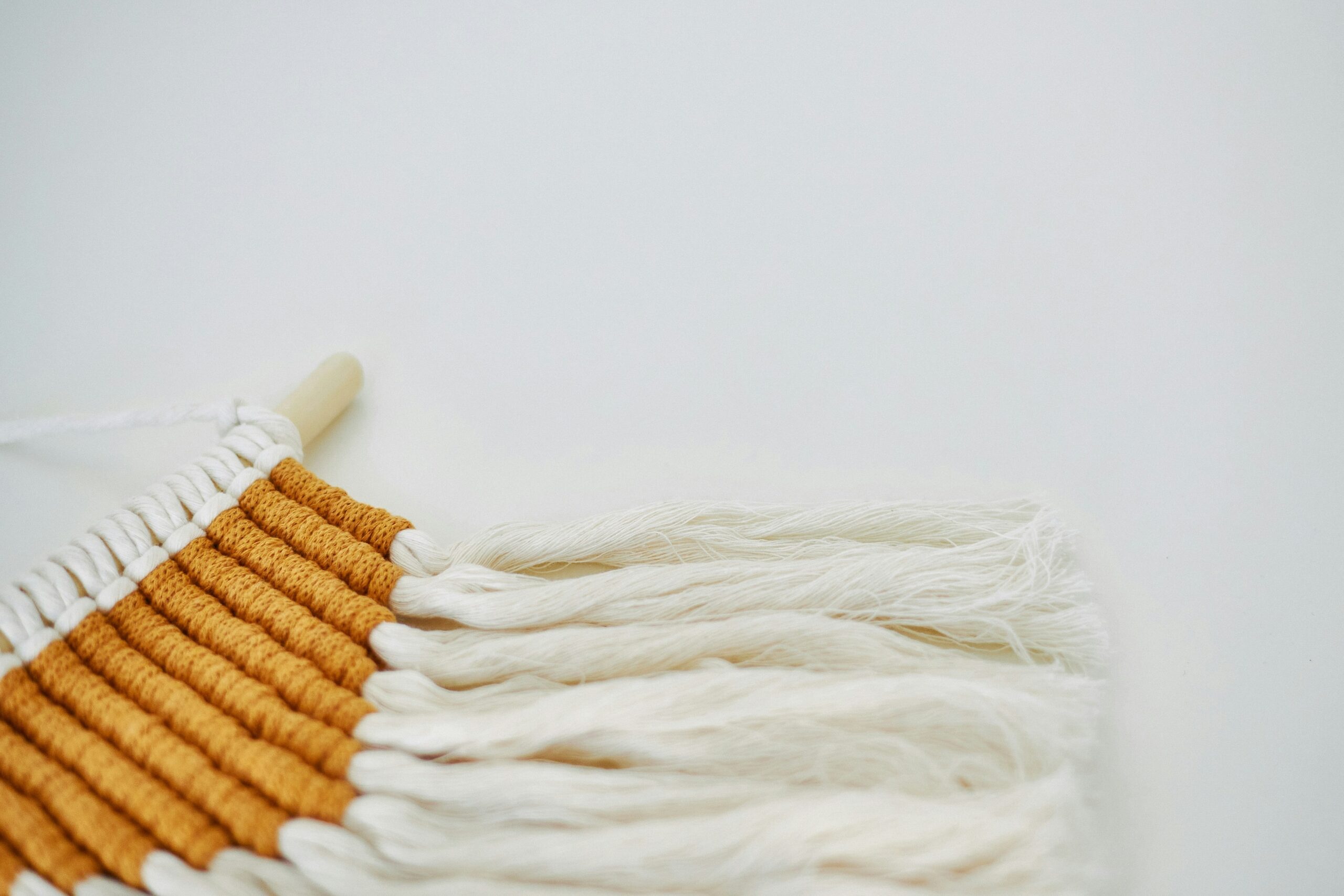 dog grooming with brush