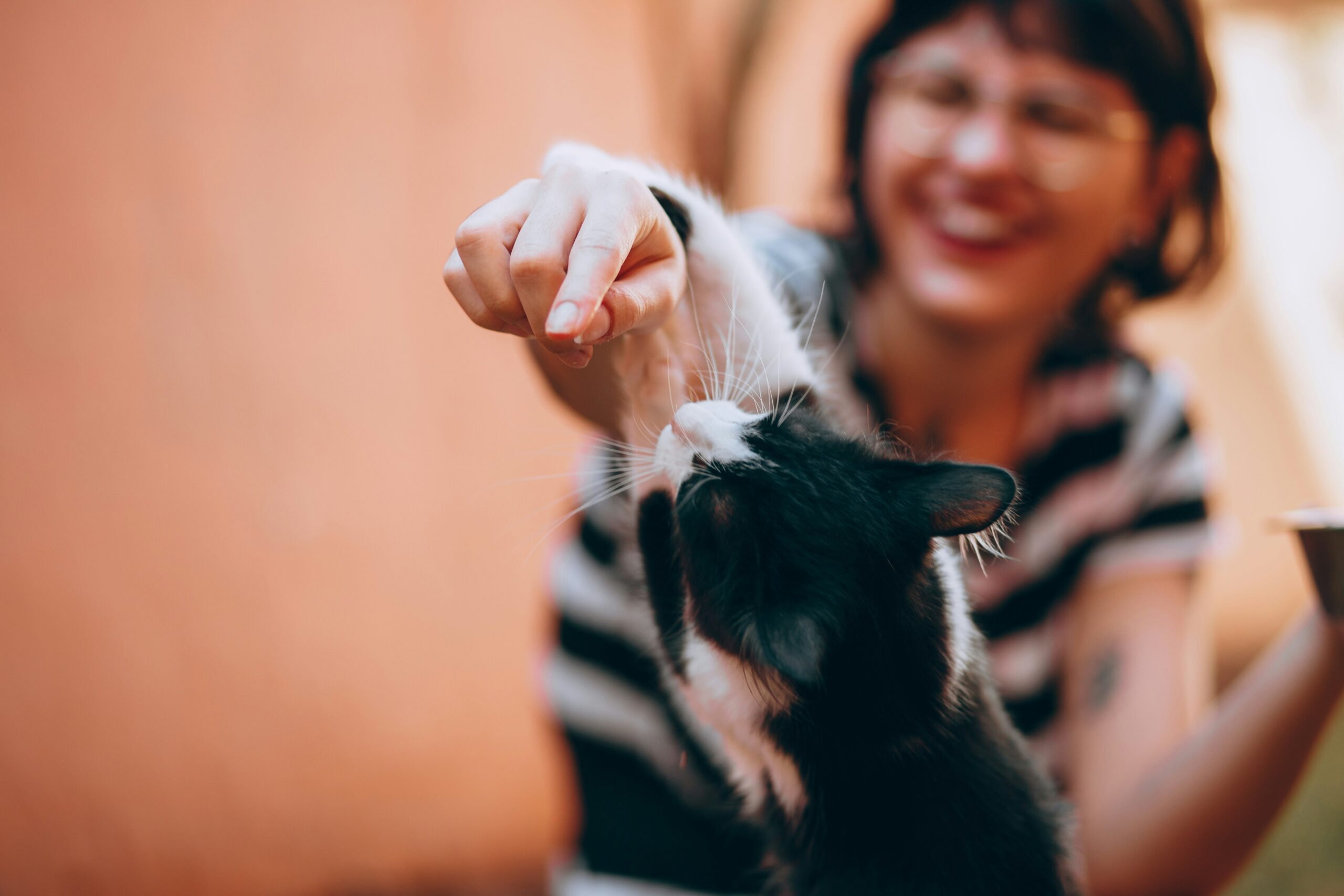 rubber brush grooming pet