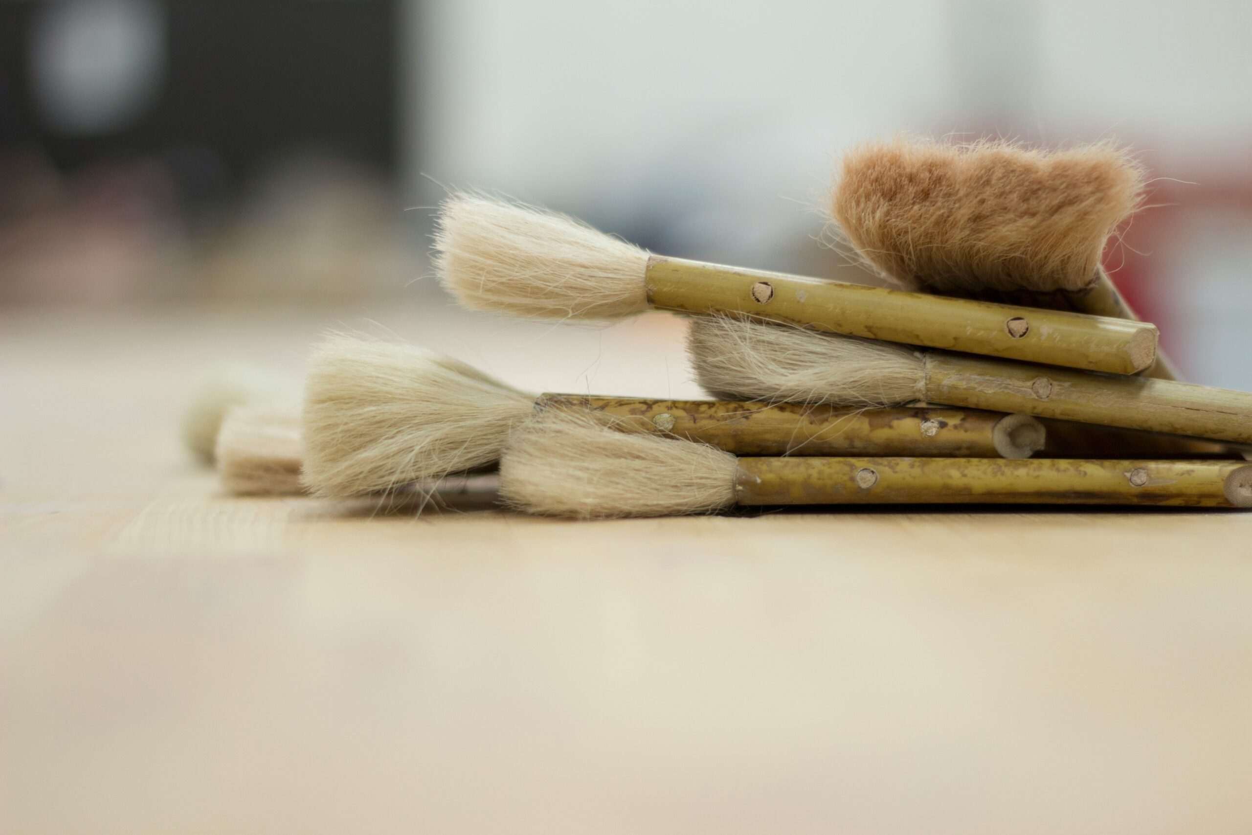 Close-up photo showing different types of bristle brushes for various coat textures.