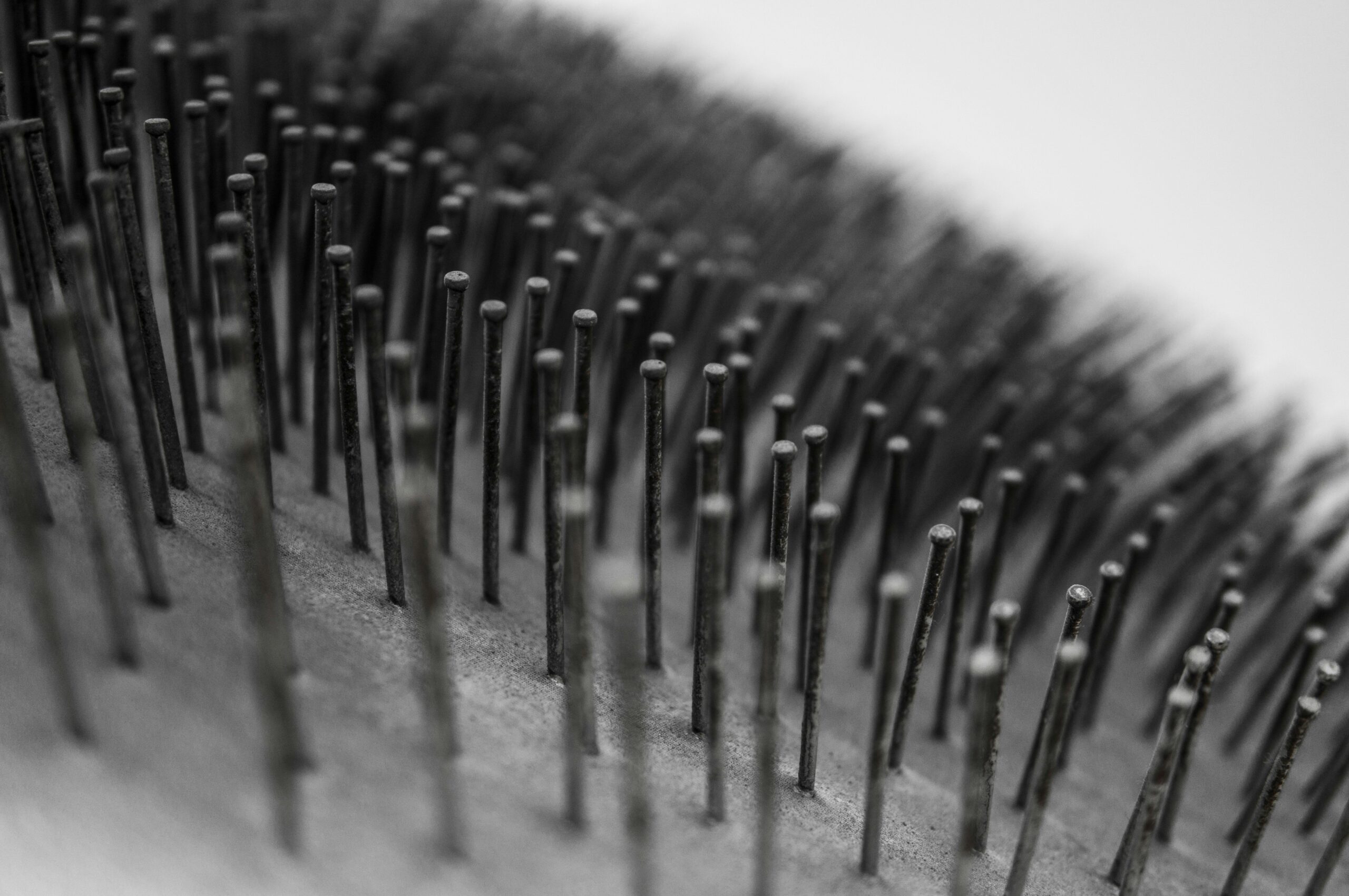 Close-up shot of different types of pet grooming brushes laid out side by side.