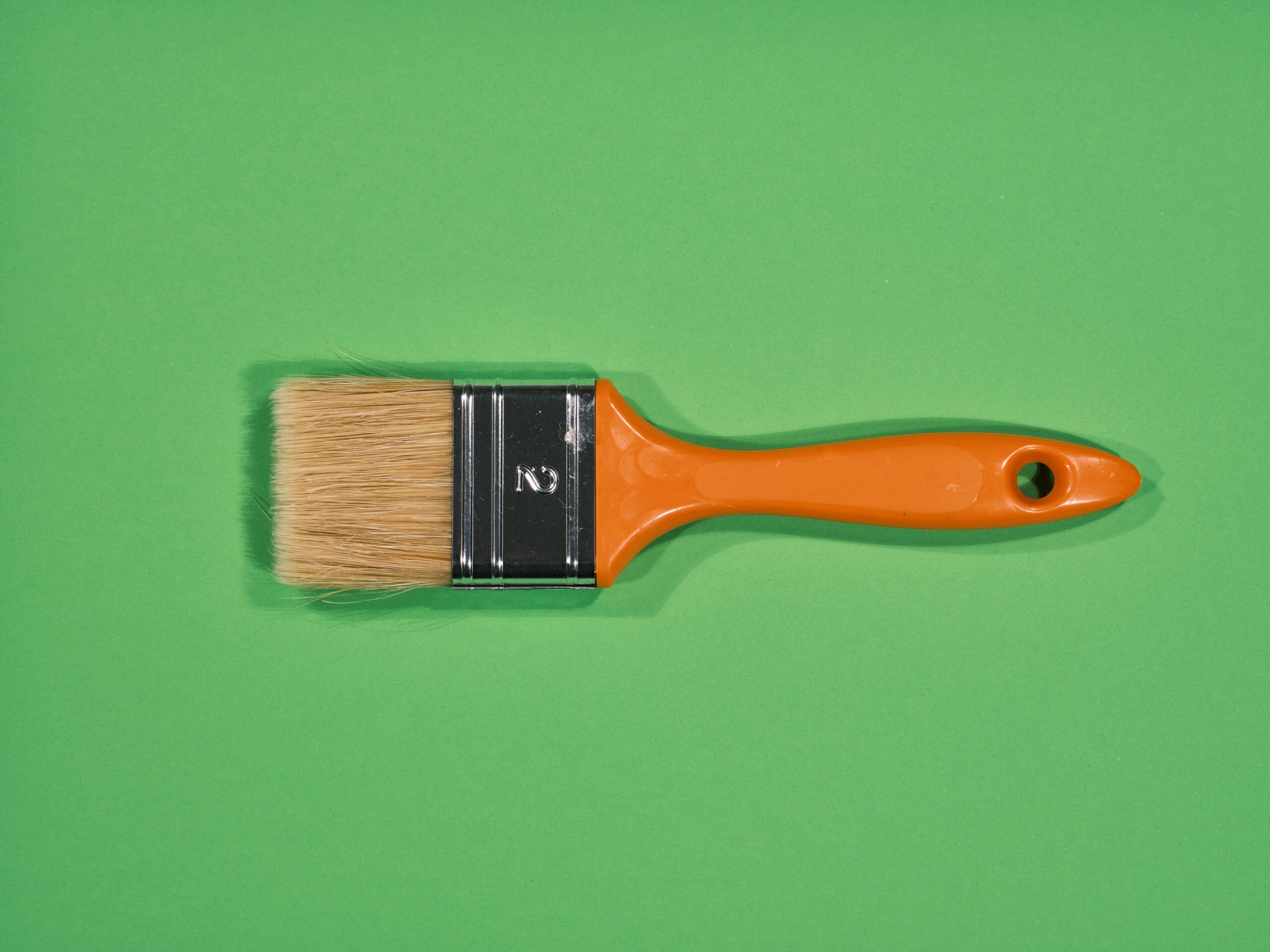 Illustration comparing different types of pet grooming brushes including slicker, pin, and bristle brushes