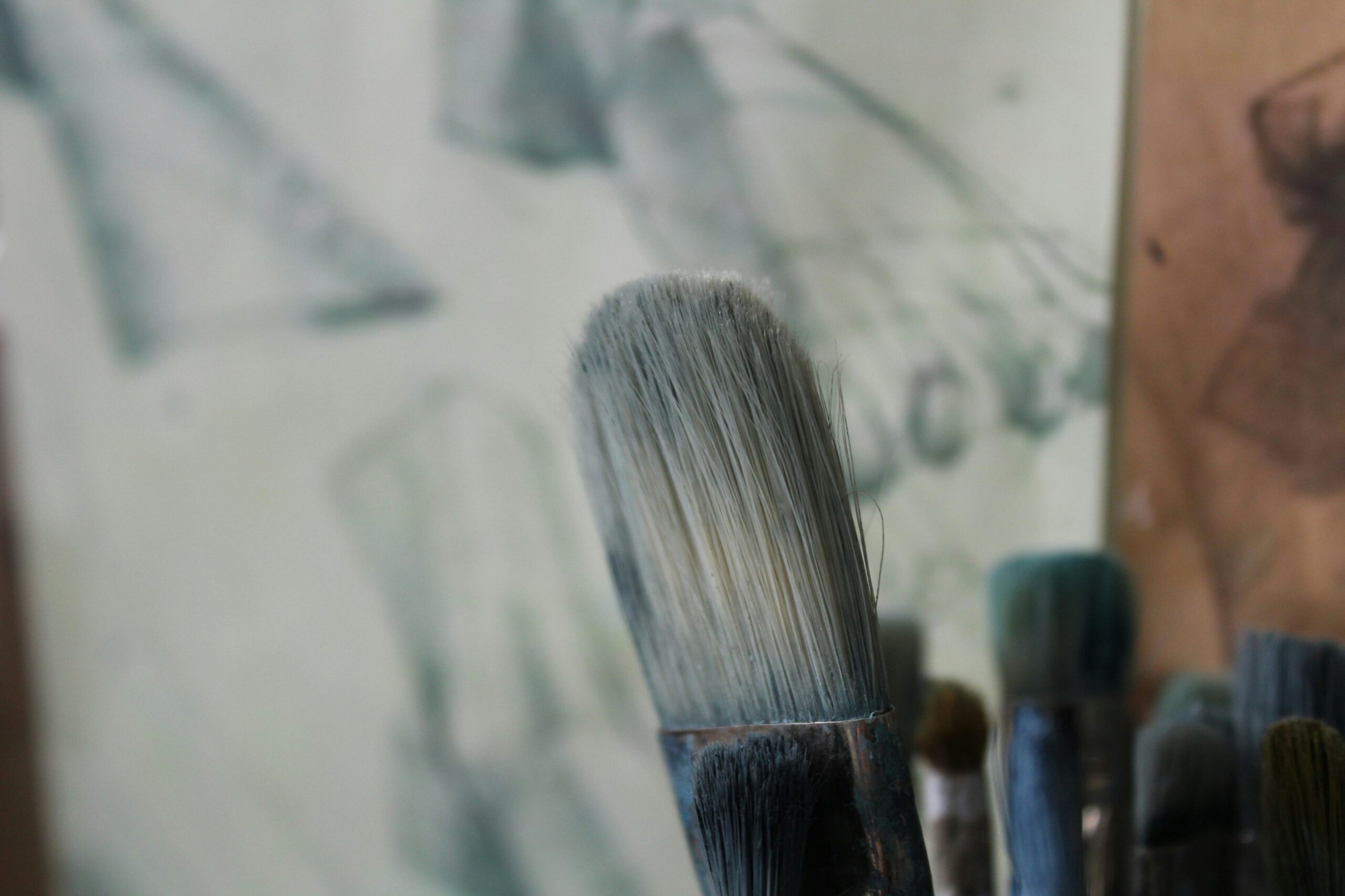 Skin Health FAQs: How Bristle Brushes Revolutionize Your Pet’s Grooming Routine