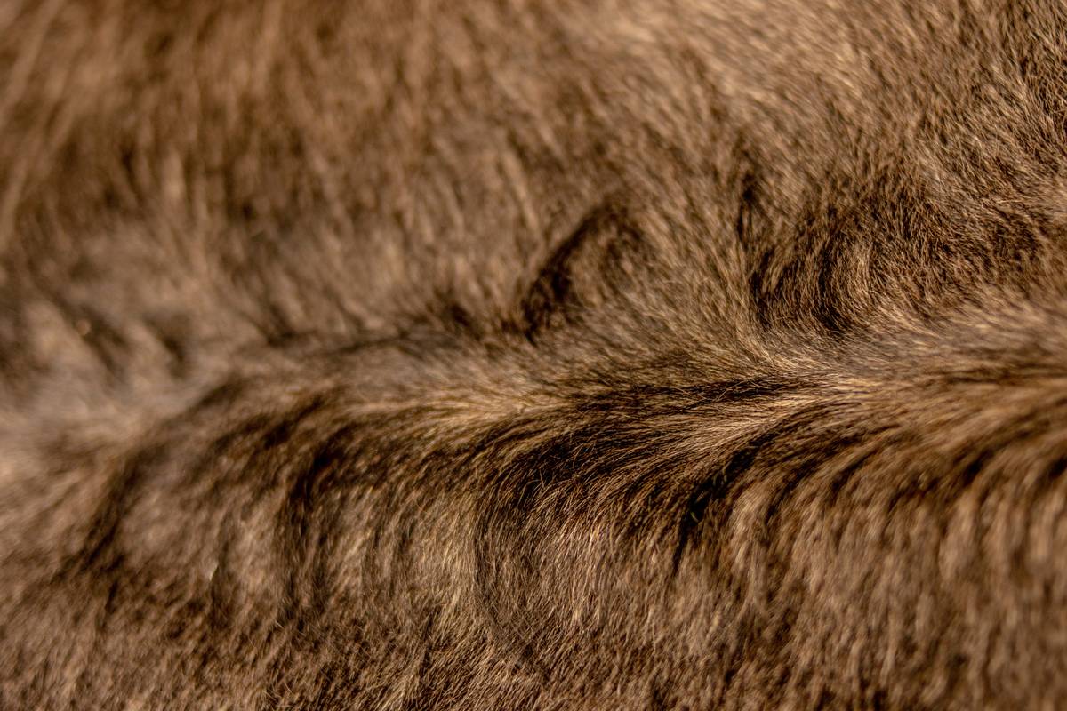 Before and After image showing difference in pet coat hydration.