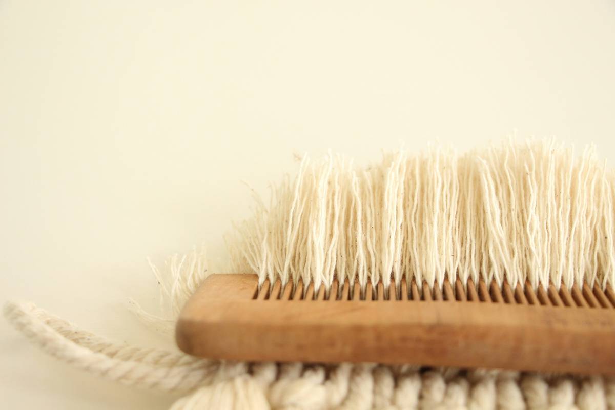 Close-up of a dog being gently brushed with a bristle brush