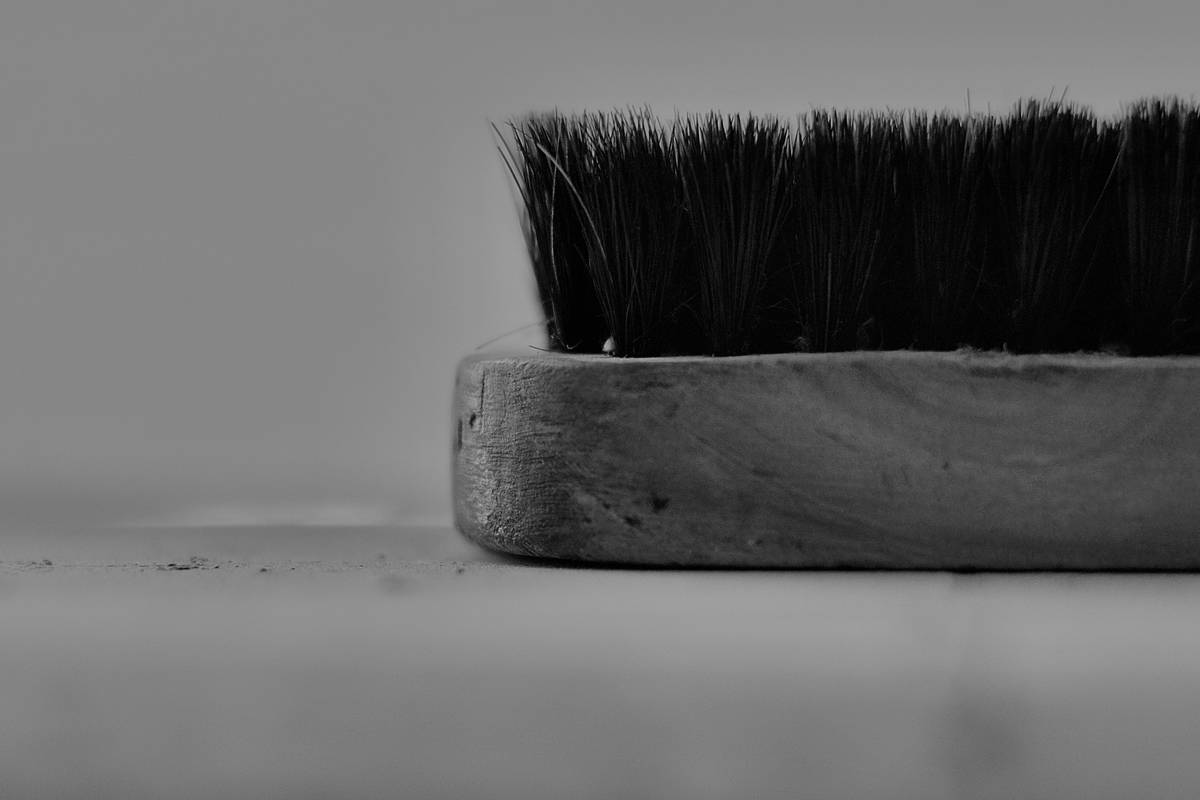 Close-up shot of a high-quality bristle brush for pets