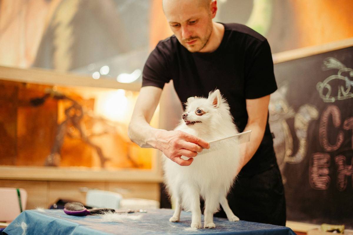 Mastering the Fur Flow Tip: Why Bristle Brushes Are Your Pet’s New Best Friend