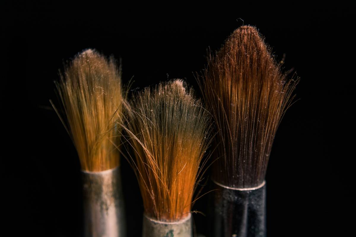 Why a Synthetic Bristle Groomer Might Just Save Your Pet Care Routine