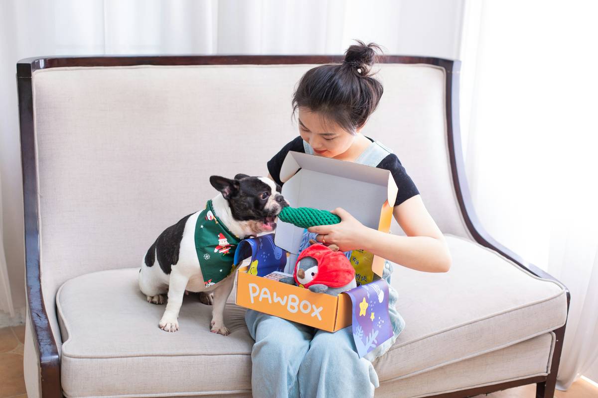 Why Your Pet Deserves the Best: The Ultimate Guide to Bamboo Bristle Tools