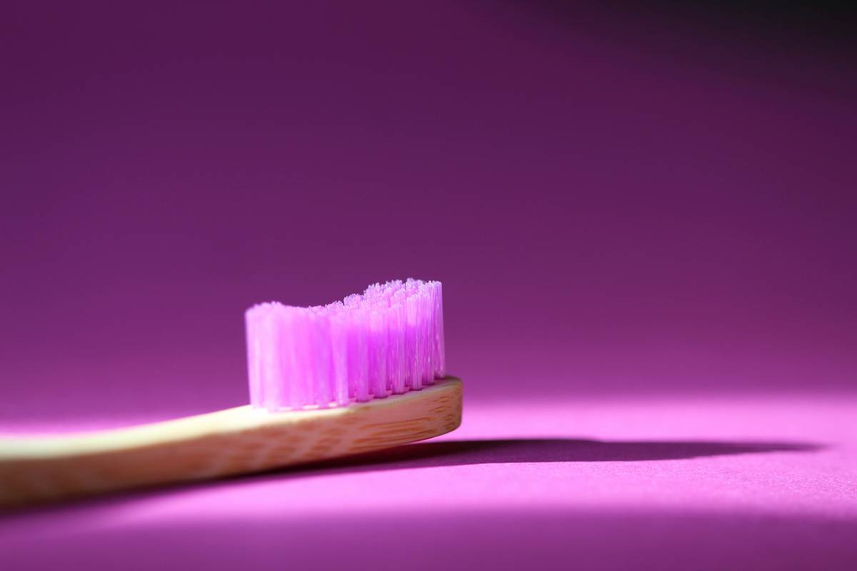Close-up photo of a premium bristle brush designed for pet grooming