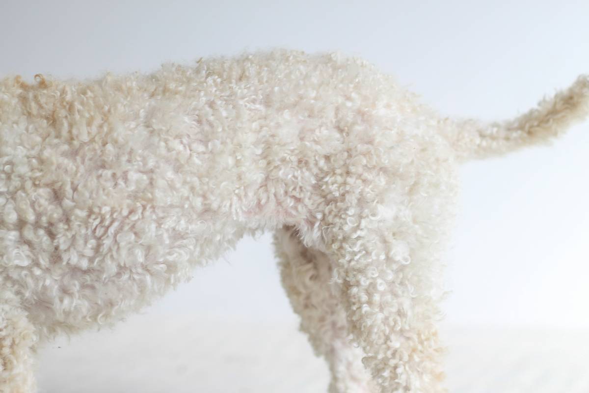How to Use a Circulation Improve Tool: The Secret Weapon for Pet Grooming with Bristle Brushes
