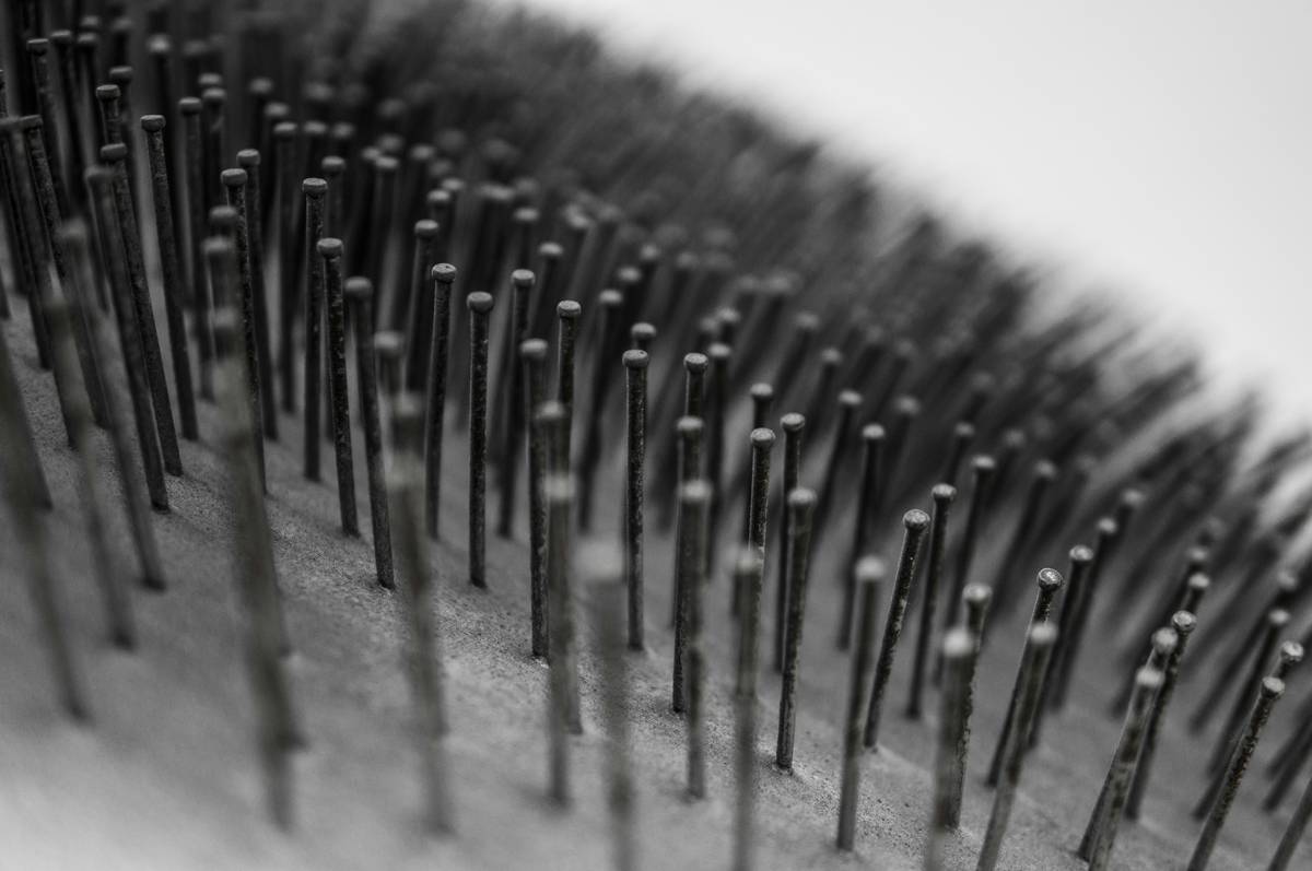 Side-by-side comparison of three different types of pet grooming brushes