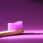 The Vitality Boost Brush: Your Secret Weapon for Flawless Pet Grooming