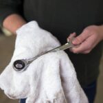 Why Every Pet Owner Needs a Long Bristle Tool for Grooming Success